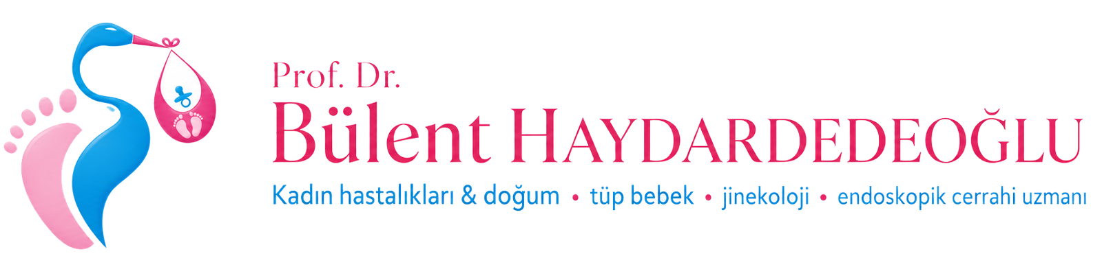 Prof. Dr Bülent HAYDARDEDEOĞLU - Jinekolojik Endoskopi